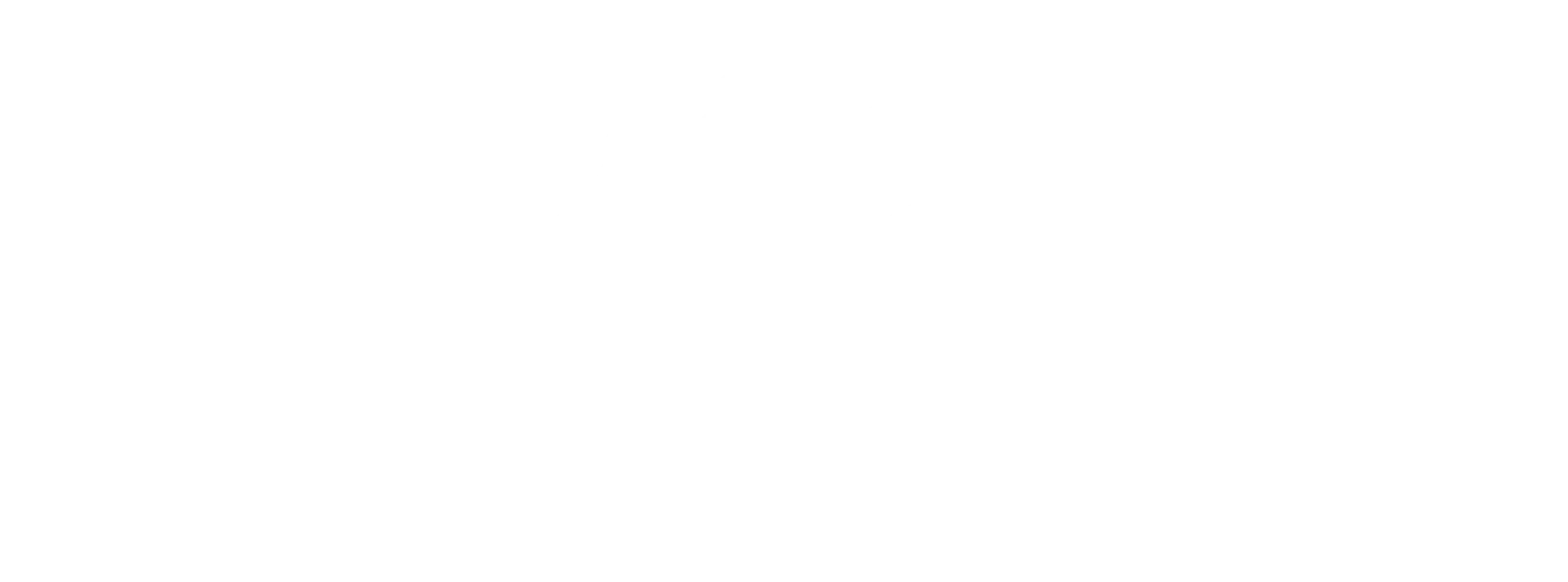 Main logo of First Bridge Centre in white