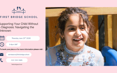 Supporting Your Child Without a Diagnosis Webinar